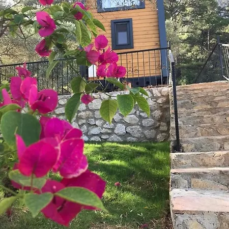 Haydi Tiny Haus Holiday home Akyaka (Mugla)